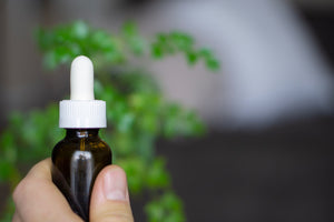 CBD vs. Hemp: What are the Major Differences?